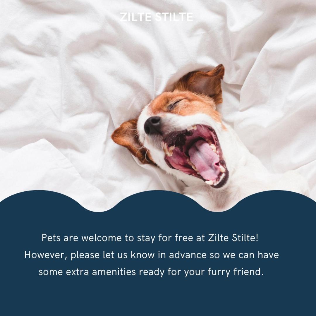 Zilte Stilte Daire Oostende Dış mekan fotoğraf